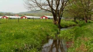 Arkansas Farm Bureau - Discovery Farm Program