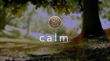 Calming Quran: 'Today I reward you!'  مقطع مبكي للقارئ عمر هشام العربي