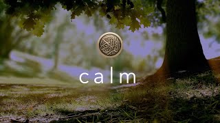 Calming Quran: 'Today I reward you!'  مقطع مبكي للقارئ عمر هشام العربي