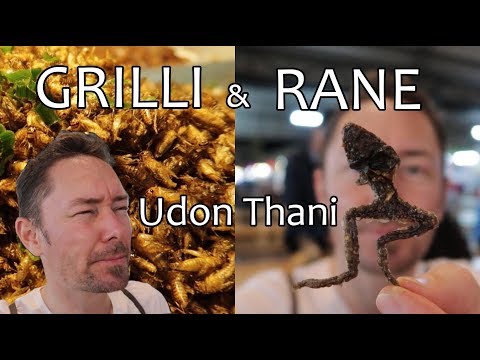 Video: Cucina E Piatti Tradizionali Isan Del Nord Della Thailandia