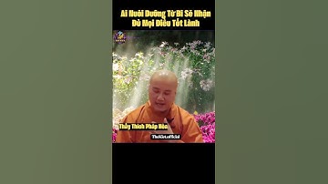 Ai Nuôi Dưỡng Từ Bi Sẽ Nhận Đủ Mọi Điều Tốt Lành - Thầy Thích Pháp Hòa