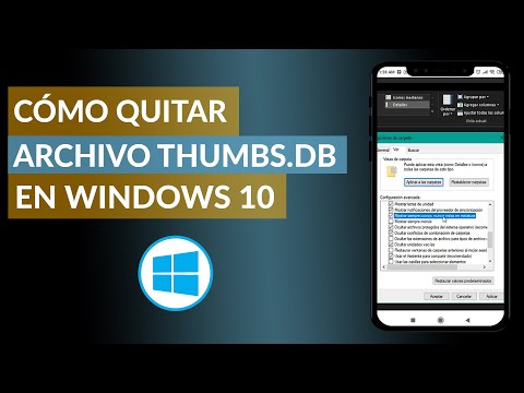 Cómo Desactivar o Quitar Archivo Thumbs.db de tu PC con Windows 10