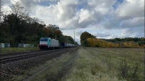 Macro of the freight train with the 186 134 of LTE on its way to Poland #186 #macro #trainspotting