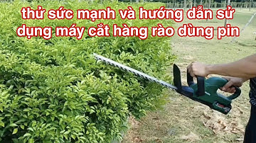 Máy cắt tỉa hàng rào - thử sức mạnh và hướng dẫn sử dụng máy cắt hàng rào dùng pin