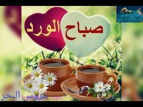 لما صحيت على حبك وردة