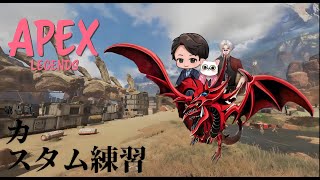 APEXカスタム練習コラボ！！