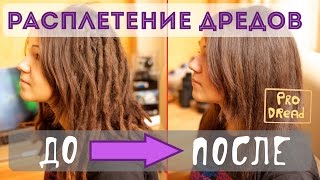 картинка: Pro Dread. Выпуск 7. Дреды. Расплетение Дредов. (Да, это реально!))