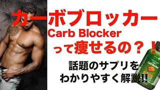 【話題のサプリ!!】カーボブロッカーって痩せるの？！わかりやすく解説!!