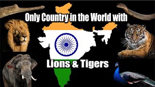 Amazing Wildlife of INDIA