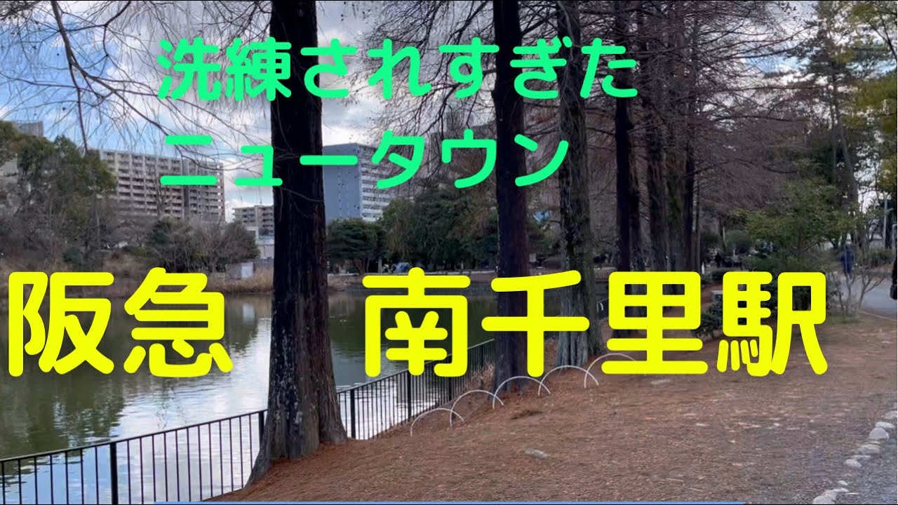 南千里にディープさを期待するのは無理❗️完璧すぎて物足りない