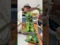モンステラ植え替え動画#観葉植物 #花屋 #植物 #plants #ショート #モンステラ