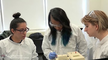 The USC Master of Science in Neuroimaging and Informatics