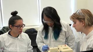 The USC Master of Science in Neuroimaging and Informatics