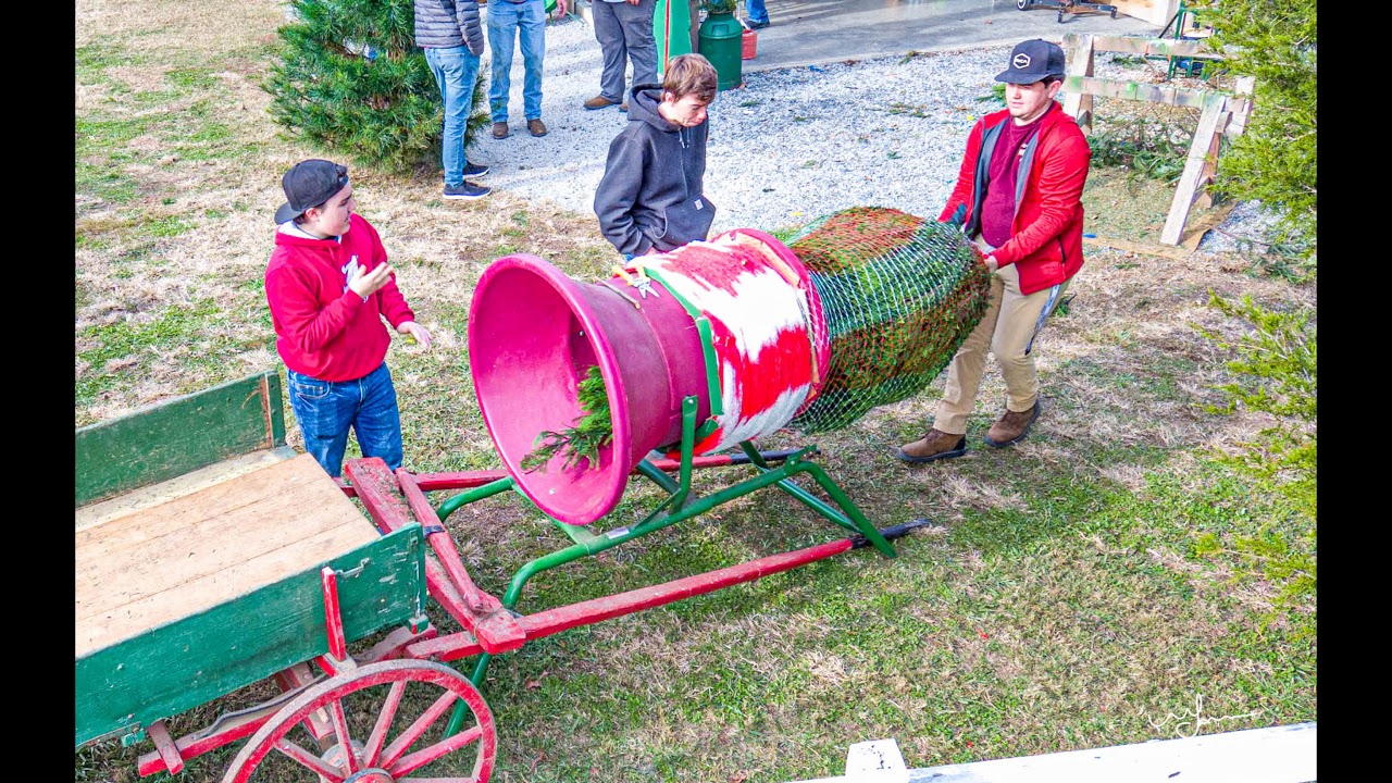 Almond’s Christmas Tree Farm 2019 - YouTube