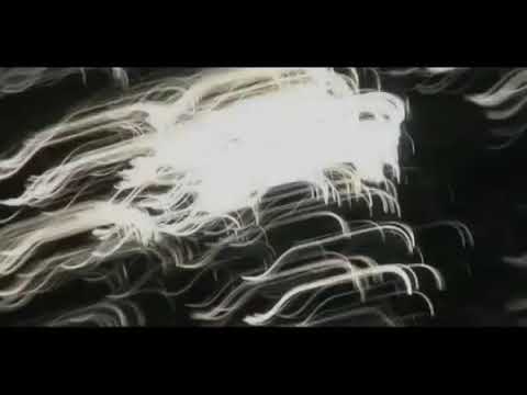 კარლ გუსტავ იუნგი - სინქრონულობა (CC)