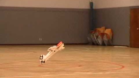 WM Parkflyers EPP Yak-55.wmv