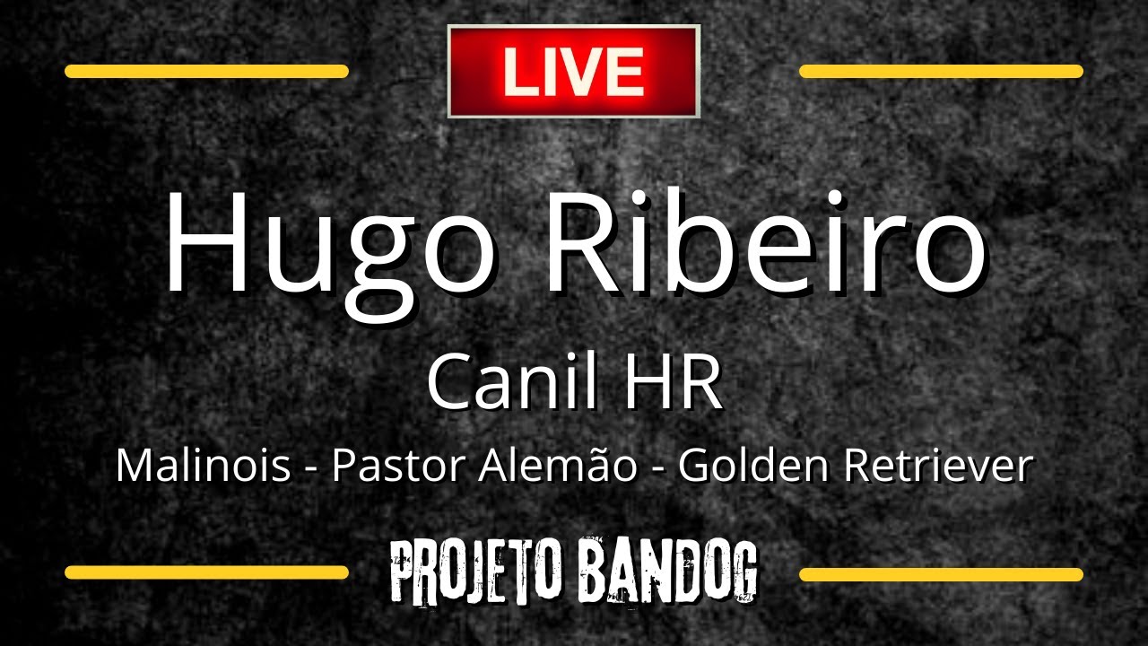LIVE COM HUGO RIBEIRO - CANIL HR | PROJETO BANDOG