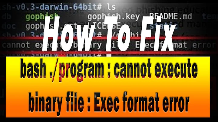 Bash ./program : Cannot Execute Binary File : Exec Format Error
