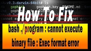 Bash ./program : Cannot Execute Binary File : Exec Format Error - YouTube Bash ./Program : Cannot Execute Binary File : Exec Format Error - Youtube