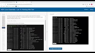 Lab 10 Linux Essentials