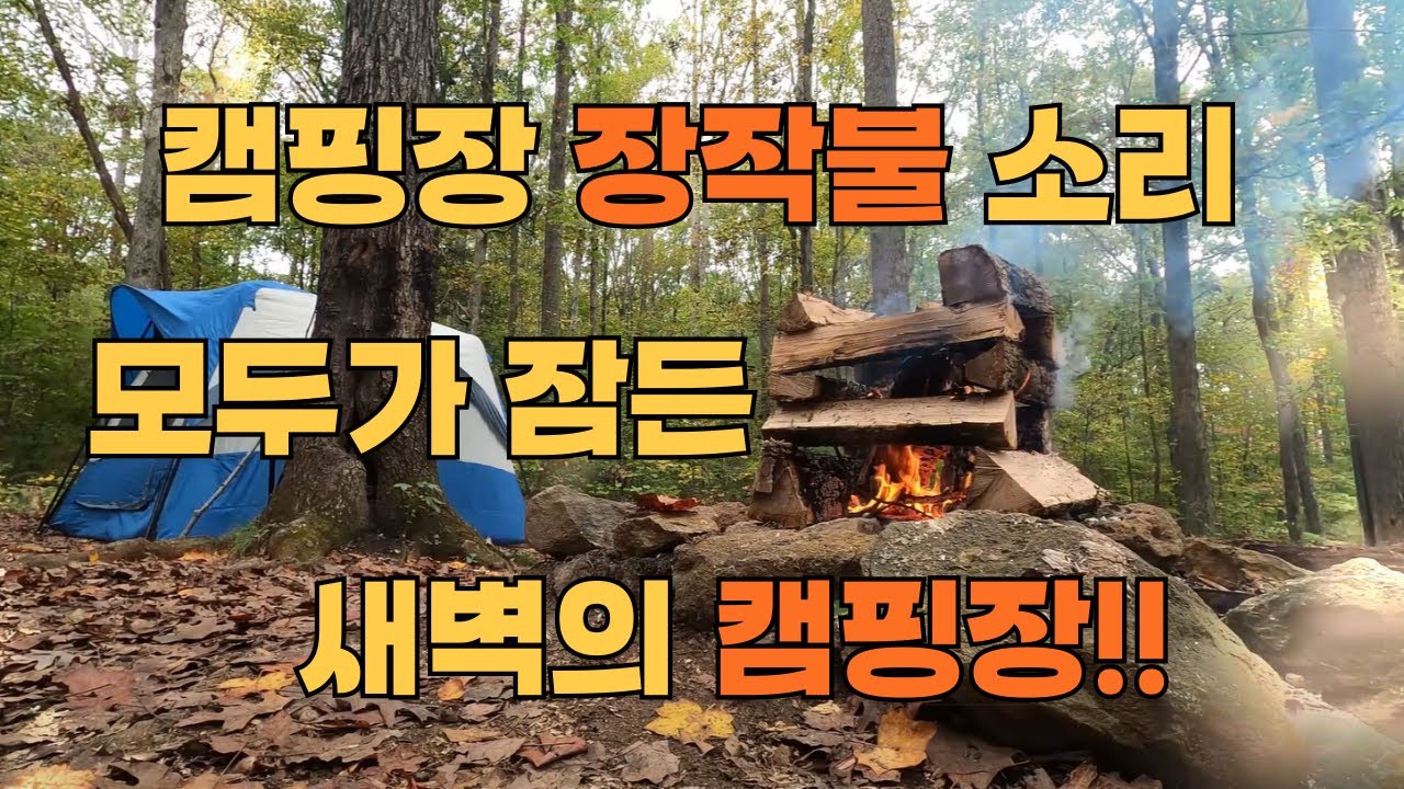 모두가 잠든 새벽의 캠핑장 모닥불 소리 I 장작불 I 풀벌레소리 - YouTube