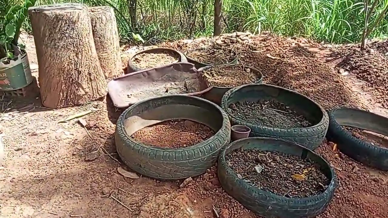 O sítio já está limpo de novo 🤠🤠