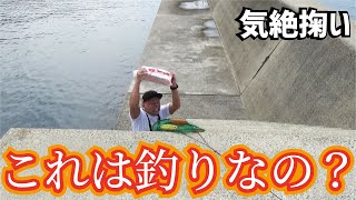 そこいらの堤防で大魚を気絶させ網ですくう!これは果たして釣りなのか?