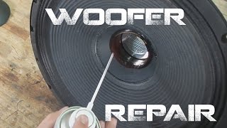 Speaker Quick Repair techniques  Easy  Strange Buzzing Sounds
