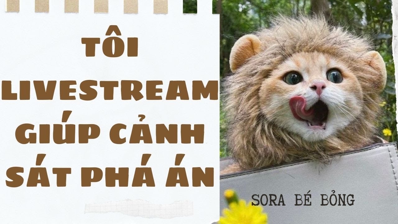 [Truyện Audio ] [FULL] TÔI LIVESTREAM GIÚP CẢNH SÁT PHÁ ÁN || Sora Bé Bỏng