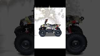 PEDA MOTOR TOP 15 models (kids electric atv50cc 125cc 150cc 250cc 300cc)