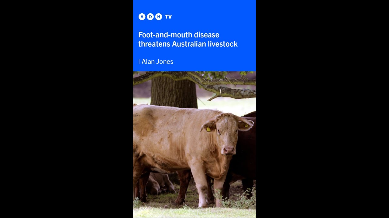 ⁣Foot-and-mouth disease threatens Australian livestock | Alan Jones