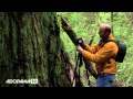 Travel Photos in the Redwoods: Exploring Photography with Mark Wallace: Adorama Photography TV