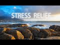Deep Focus 1 Hours of Relaxing, Music for Sleep and Relaxation, Music to Study or Fall Asleep