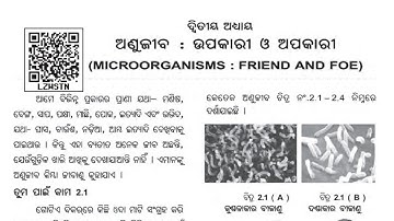 Odia medium: Class-8:Science:Chapter-2:(Anujiba:upakari O apakari)//Part-1//bisaya bastu
