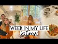 WEEK IN MY LIFE VLOG | keeping it real, exciting surprise, & figuring things out!