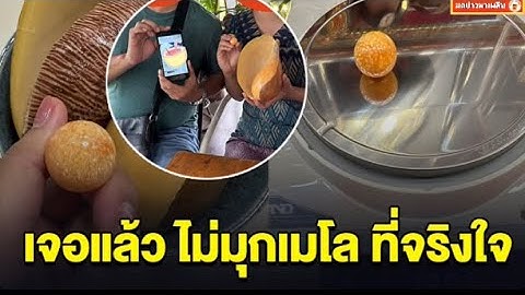 ยิ่งกว่าถูกหวย เจอแล้ว ไข่มุกเมโล ที่จริงใจ ส่งตรวจพบเป็นของแท้ ขายต่อได้เงิน 5 แสน