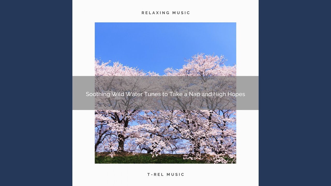 Take the Call of the Mother Earth Noise and Fly Away