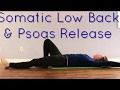 Somatic Low Back & Psoas Release