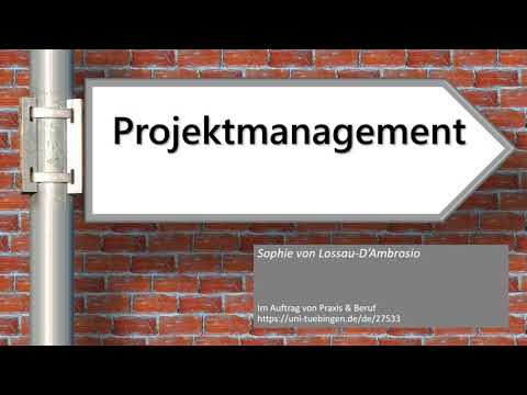 Praxis & Beruf: Projektmanagement