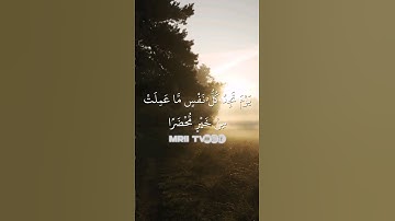 ماهر المعيقلي - سورة آل عمران ( برواية حفص عن عاصم ) الأية 30
