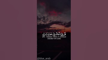 سورة الزمر قُلْ إِنِّي أَخَافُ إِنْ عَصَيْتُ رَبِّي عَذَابَ يَوْمٍ عَظِيمٍ (13)