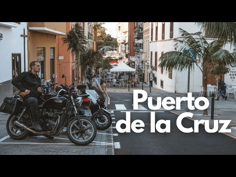 Video: Patrimonio de Friede Springer