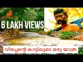 വീരപ്പന്റെ കാട്ടിലേക്കൊരു യാത്ര|Sathyamangalam Forest Safari|ThreeTigerReserves Part3|BOBBYS GALLERY