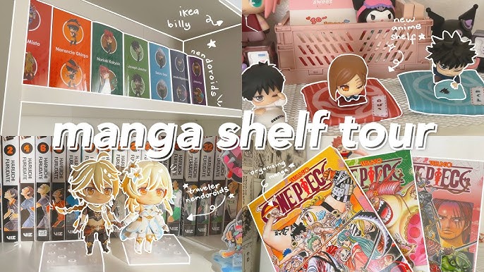 Agrandir sa bibliothèque de Mangas - Hobby Eien