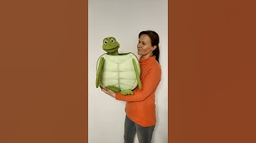Pavlovs Polly the sea turtle puppet