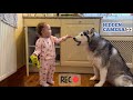 Sneaky Baby Feeds Her Huskies Snacks Without Dad Knowing!😂. [HIDDEN CAM!!]
