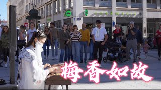 古筝《梅香如故Mei Xiang Ru Gu》国外街头的中国风Chinese Instruments Guzheng Cover| 碰碰彭碰彭Jingxuan