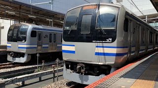 E217系入線.発車する列車。(14)