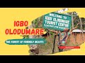 Igbo Olodumare- the forest of friendly Beasts