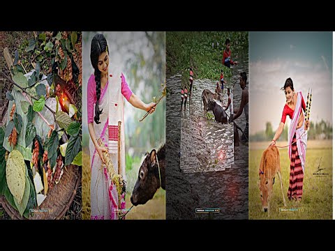 Dighlotir Pat 💓 Song Assamese  Status💝| New Goru Bihu Status🥀| Goru Bihu Status💗| #Goru #bihu_2024